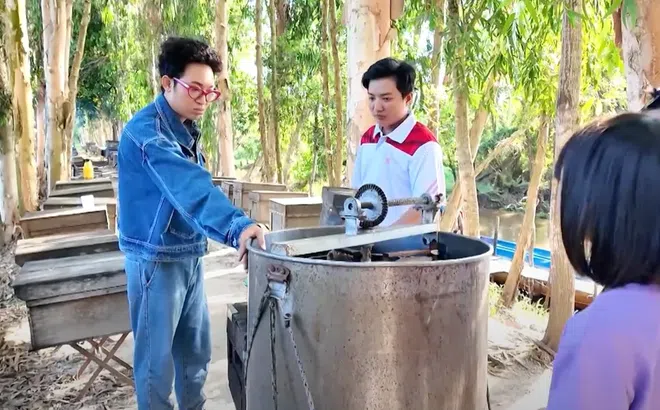 Việt Nam 365 ngày thú vị: MC Năm Chà khám phá nghề nuôi ong mật tại rừng tràm Trà Sư