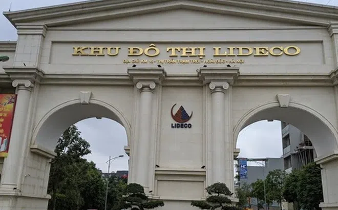 Lideco (NTL) lên kế hoạch lợi nhuận năm 2025 thấp nhất lịch sử hoạt động