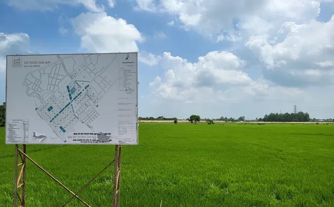 An Giang: Hàng loạt dự án của Tập đoàn Sao Mai chậm tiến độ