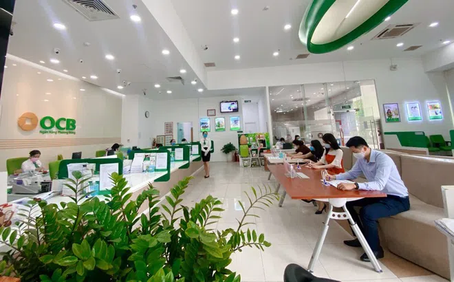 Con gái Chủ tịch Trịnh Văn Tuấn đã bán 45 triệu cổ phiếu OCB