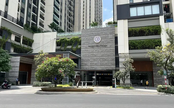 Không ghi nhận doanh thu bất động sản, kết quả kinh doanh Hà Đô giảm mạnh trong quý đầu năm