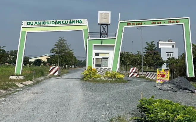 Công ty Nhựt Thành và Tập đoàn Toàn Cầu Xanh bị cưỡng chế thuế