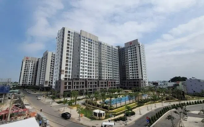 Công ty thành viên của Pi Group nợ thuế hơn 347 tỷ đồng