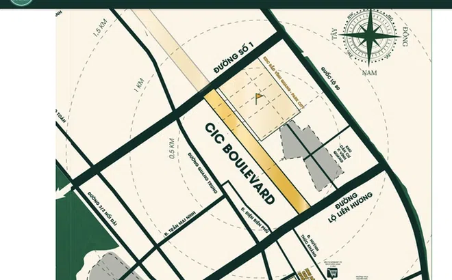 CIC bị phạt nặng gần 300 triệu đồng: Loạt giao dịch "mờ ám", không công bố thông tin