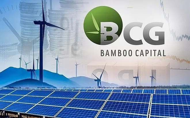 BCG và TCD kéo dài vi phạm công bố báo cáo tài chính, bị HoSE cảnh báo