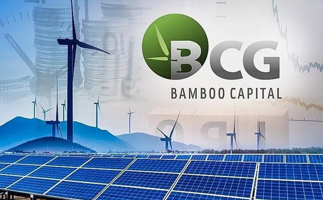 Bamboo Capital xin lỗi cổ đông, vẫn không cứu được thị giá