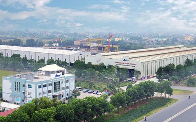 Xây dựng AMECC bị phạt gần 330 triệu đồng