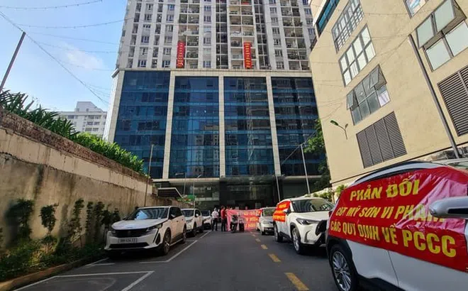 Công ty CP Đầu tư và Xuất nhập khẩu Mỹ Sơn nợ thuế gần 185 tỷ đồng