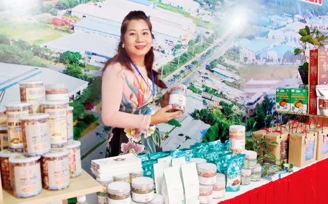 Thương hiệu hạt điều Hà Mỵ đứng sau LOTHA Airlines