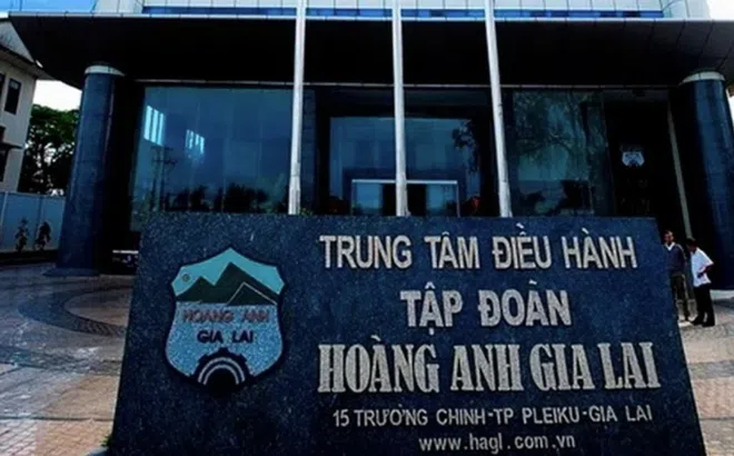 HAGL thoái vốn thành công tại HAGL Agrico