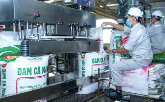 Lỗ kéo dài, lãi mỏng, Công ty Phân bón Hàn - Việt vào “tầm ngắm” kiểm tra thuế