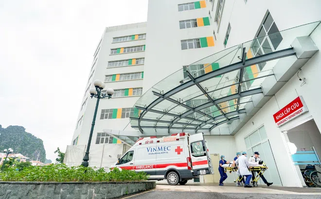 Vượt “cơn bão kép” nhồi máu não kèm nhiễm trùng huyết, bệnh nhân 68 tuổi thoát nguy cơ tàn phế vĩnh viễn