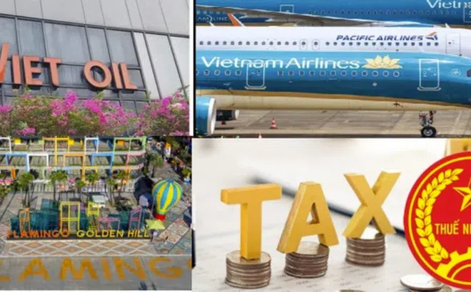 Xuyên Việt Oil, Golden Hill, Pacific Airlines bị công khai nợ thuế hàng trăm tỷ đồng