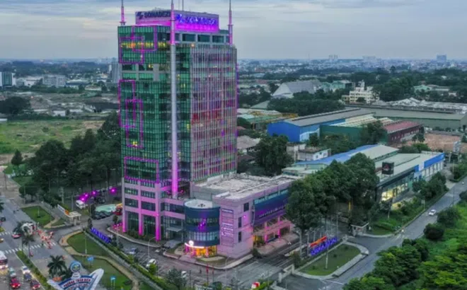 Trưởng Ban kiểm soát Đặng Lê Bích Phượng bị khởi tố, Sonadez nói gì?