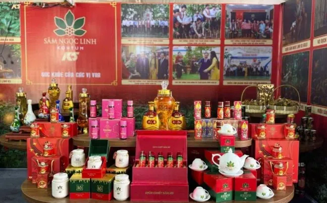 Sâm Ngọc Linh Kon Tum và hàng loạt doanh nghiệp nợ thuế