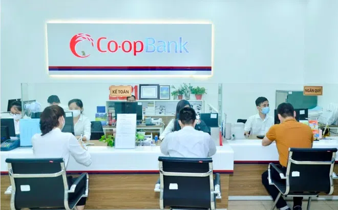 Thanh tra yêu cầu Co-opBank Thanh Hóa chấn chỉnh, khắc phục tồn tại, hạn chế