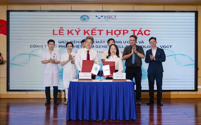 Tin vui cho hàng trăm nghìn người mù vĩnh viễn ở Việt Nam