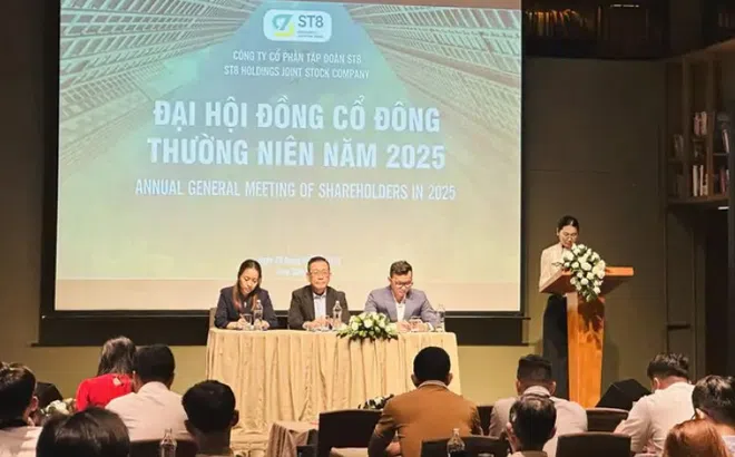Tập đoàn ST8 bị xử phạt vì báo lỗ thành lãi