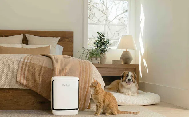 Vital Pet Pro: Giải pháp lọc không khí mới của Levoit dành cho nhà nuôi thú cưng