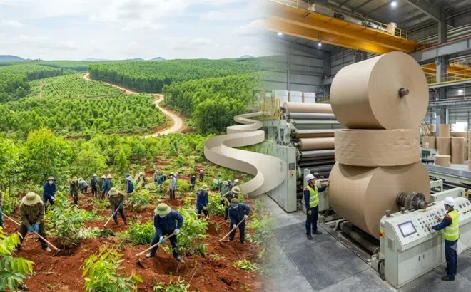 Thanh tra Chính phủ chỉ ra loạt tồn tại về đất đai của VINANACO và Tập đoàn Tân Mai