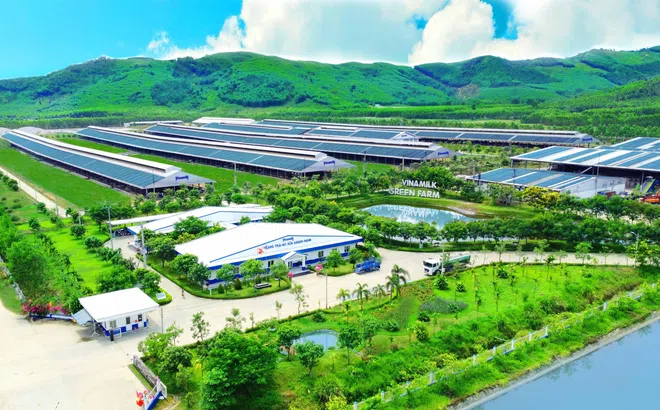 50 năm Vinamilk: Khi ‘đạt chuẩn’ chưa phải điểm dừng