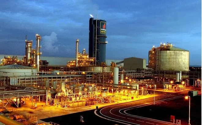 Trước đợt thanh tra, DPM từng lãi kỷ lục rồi lao dốc ra sao?