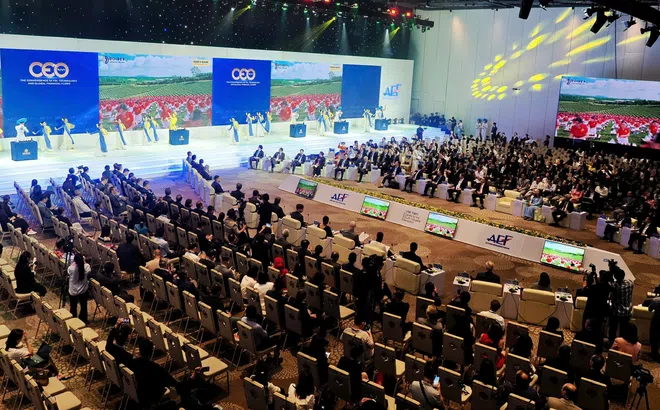 World Tea Connect: Khi ngoại giao văn hóa mở lối cho hợp tác toàn cầu tại Diễn đàn Kinh tế mùa thu 2026