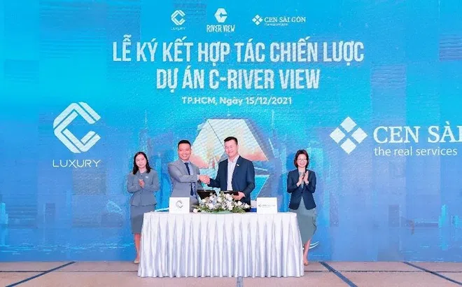 Công ty C-Holdings của Cường Đô la tiếp tục xây trái phép dự án C-River View