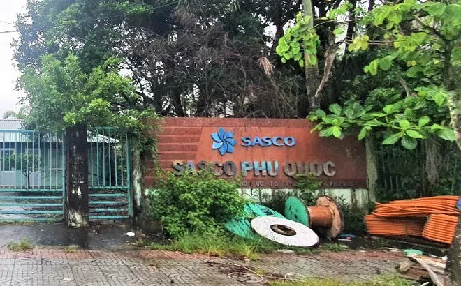 Cần làm rõ dấu hiệu bất thường trong việc cấp sổ đỏ cho SASCO