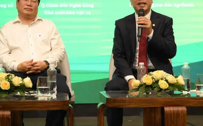 Ngành ngân hàng tích cực đồng hàng cùng ngành lúa gạo