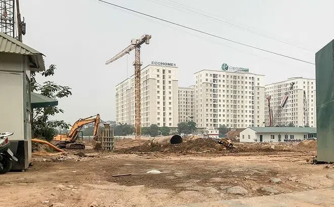 Nhà ở xã hội ‘hét’ chênh hàng trăm triệu đồng: Yêu cầu Hà Nội vào cuộc