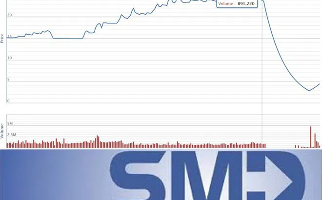 Cổ đông FTM, SMD Holdings, công ty chứng khoán và miếng gân gà trên bàn tiệc