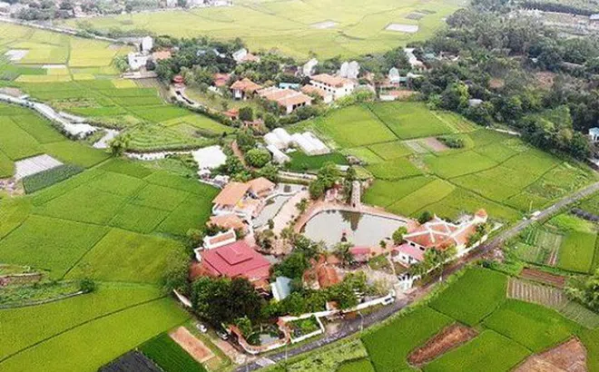 Thu hồi toàn bộ đất mua bán vi phạm của sư Thích Thanh Toàn quanh chùa Nga Hoàng