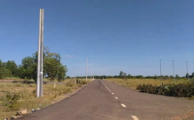 Bình Thuận: Người dân tự ý làm gần 2km đường nhựa để “tiện việc” phân lô bán nền đất