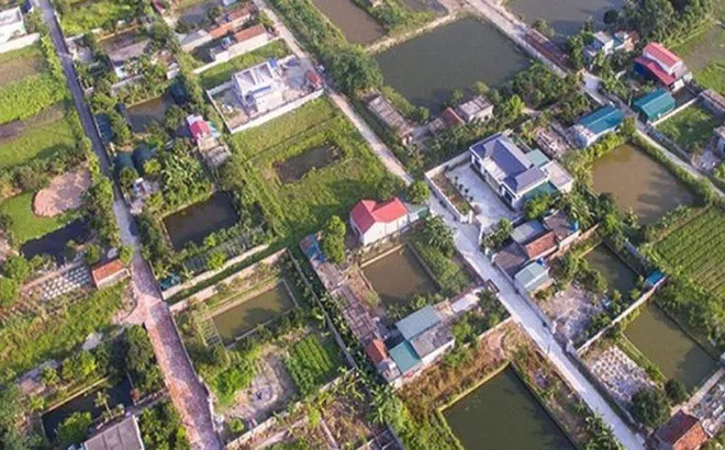 Buông lỏng quản lý đất đai ở xã Vũ Chính, TP. Thái Bình: Pháp luật có được thực thi?