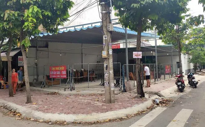 Chuyện động trời ở TP.HCM: Ngang nhiên bán trộm cả nền biệt thự, nhà phố