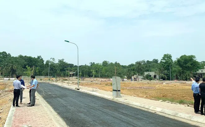 Chuyên gia tiết lộ 2 thị trường bất động sản hấp dẫn nhất Việt Nam hiện nay