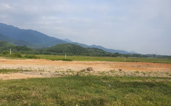 Huyện Tam Đảo (Vĩnh Phúc): Cần giải quyết đất dịch vụ cho người dân một cách thấu tình, đạt lý