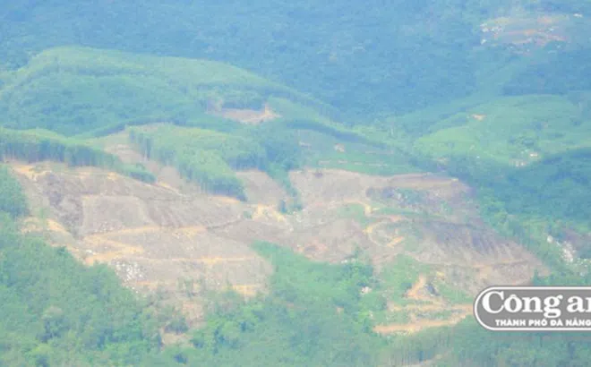 Ồ ạt lấn chiếm đất lâm nghiệp đã có chủ