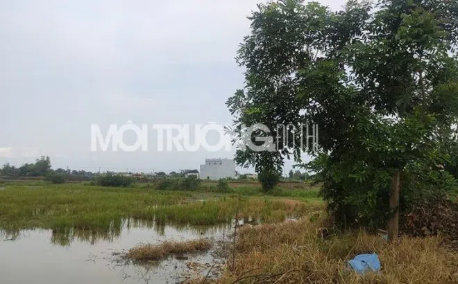 Phúc Land bán “lúa non” trên bãi đất trống tại dự án Lotus New City