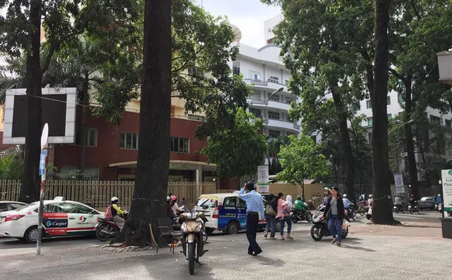 Xử lý cán bộ báo cáo quy hoạch 'đất vàng' 8A Mạc Đĩnh Chi thiếu chính xác