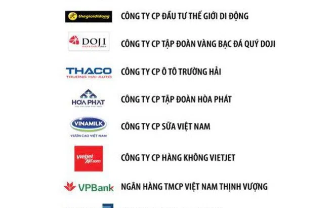 20 doanh nghiệp nhà nước, tư nhân lớn nhất 2019