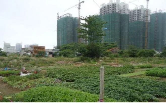 TP.HCM điều chỉnh giá đất nhiều dự án
