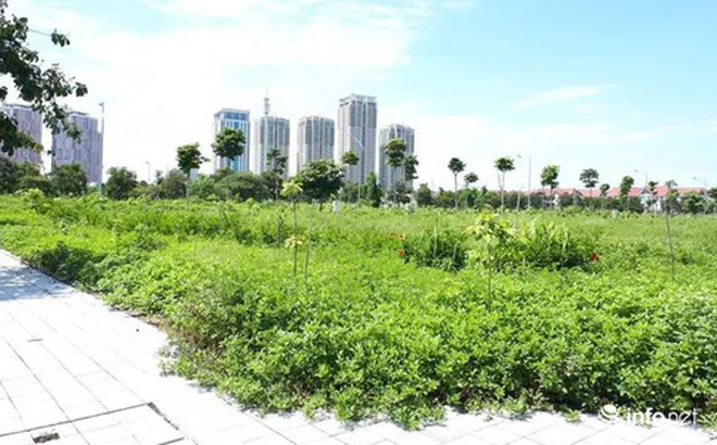 Chuyên gia BĐS chỉ ra những 'điểm chết' nhà đầu tư đất nền cần tránh
