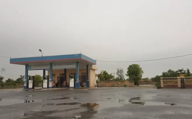 Công ty CP xây lắp 5 Thái Bình san lấp đất nông nghiệp, xây dựng cây xăng trái phép