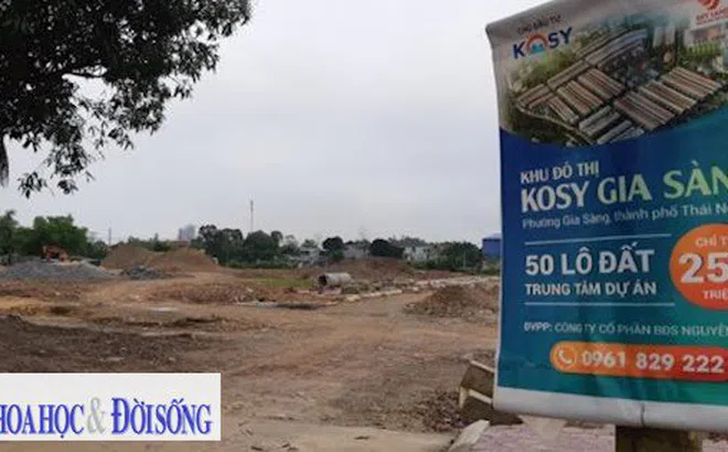 Kosy: Một doanh nghiệp khiến cơ quan quản lý phải… vội