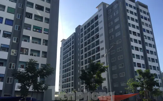 Sống trong sợ hãi ở căn hộ bị thấm nước, chập điện của dự án 1.000 tỷ
