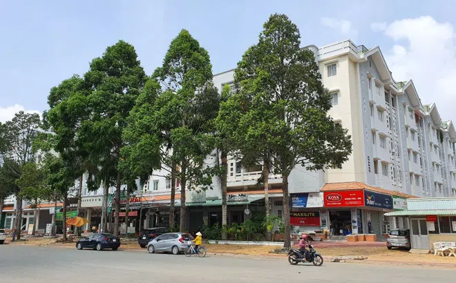 Tạo cơ hội để người có thu nhập thấp tiếp cận nhà ở