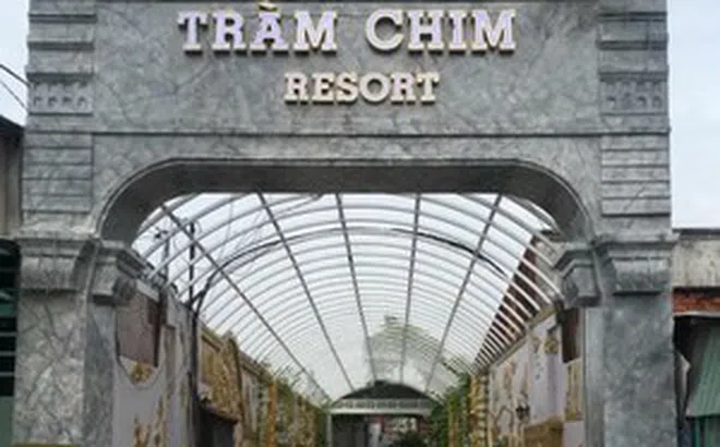 TP.HCM yêu cầu cưỡng chế resort vi phạm trật tự xây dựng