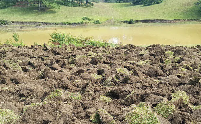 Tự ý đào xới đồi thông đẹp nhất Suối Vàng